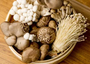 Assorted edible mushrooms rich in β-glucans, representing natural sources for β-glucanase applications in food and nutritional ingredient processing