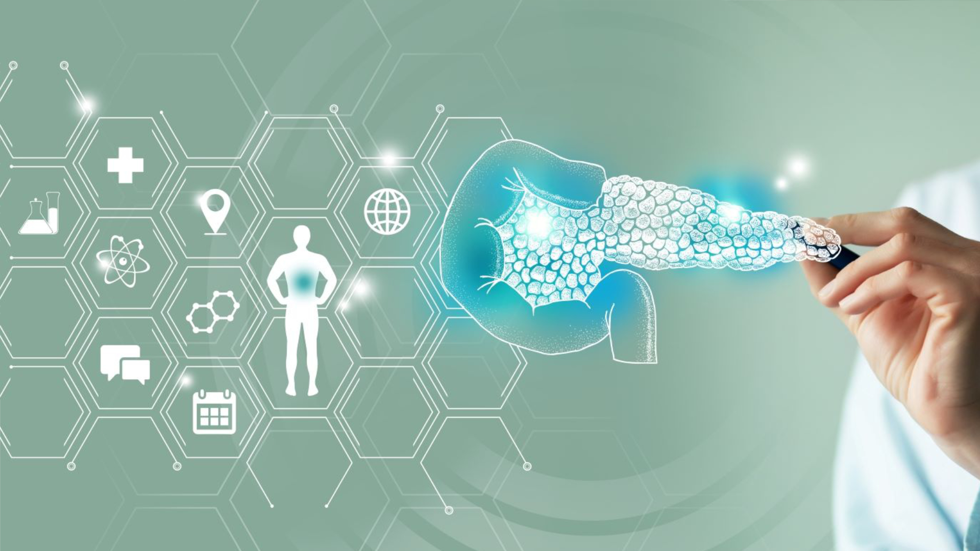 Medical researcher analyzing pancreas illustration – Nagase Amylase Assay Reagents for reliable clinical diagnostics.