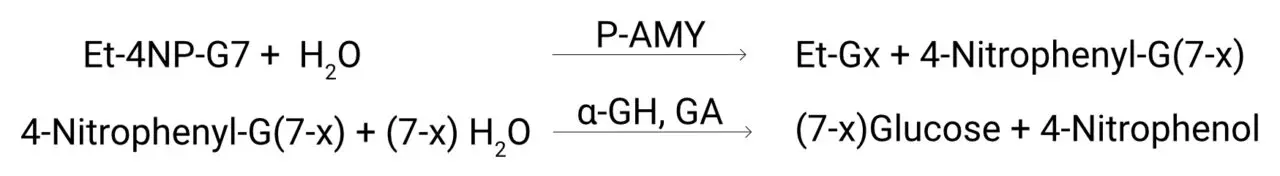 Amylase-Assay_Principle-of-the-Method-1280×176 Schematic reaction pathway of AMY-SL alpha-amylase assay: Ethyl-4-nitrophenyl-G7 (Et-4NP-G7) is hydrolyzed by P-AMY to form Ethyl-Gx and 4-nitrophenyl-G(7–x). This intermediate is further cleaved by alpha-glucosidase (α-GH) or glucoamylase (GA) into (7–x) glucose and 4-nitrophenol.