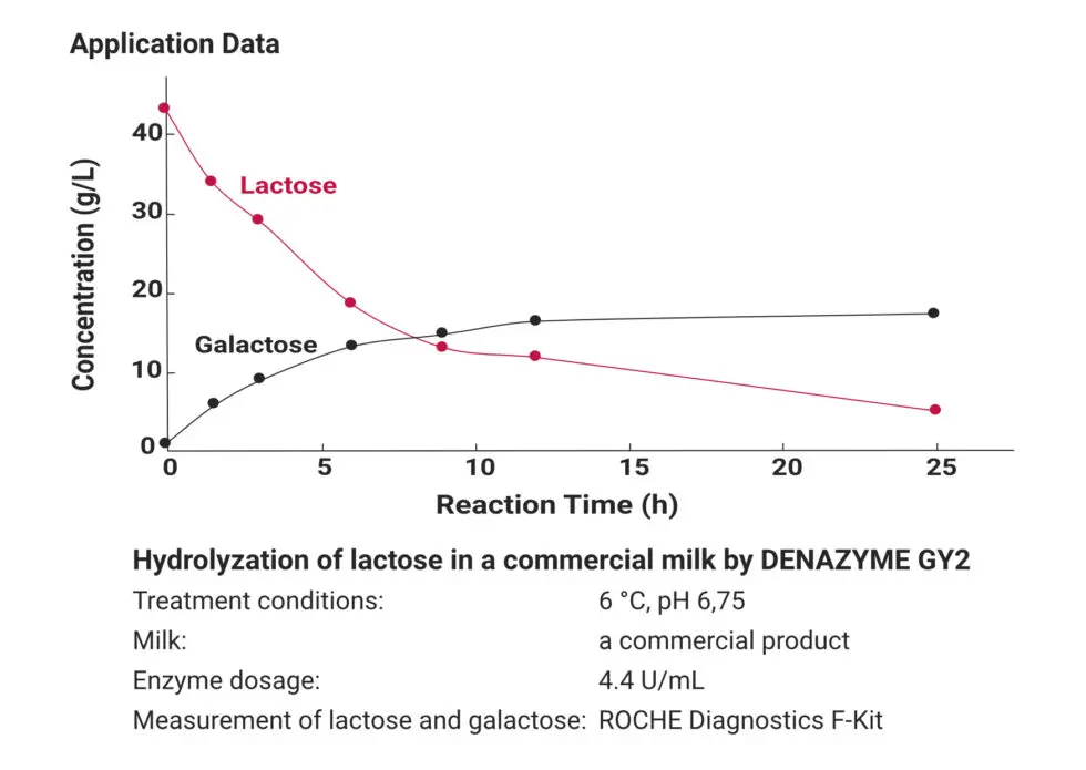 Application-Data_Lactase-1-980×695 Graph showing the enzymatic hydrolysis of lactose in milk using DENAZYME GY2, with decreasing lactose and increasing galactose concentrations over time