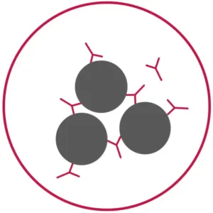 Immunohistochemistry-Icon Icon showing aggregated particles representing agglutination assays supported by MPC Polymer.