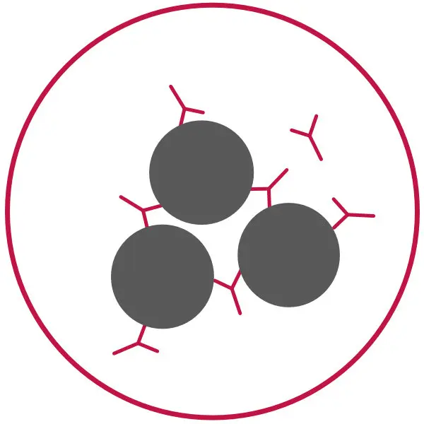 Icon showing aggregated particles representing agglutination assays supported by MPC Polymer.