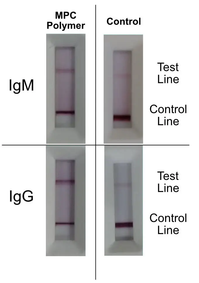 Lateral-Flow-Test-1-e1653304087886