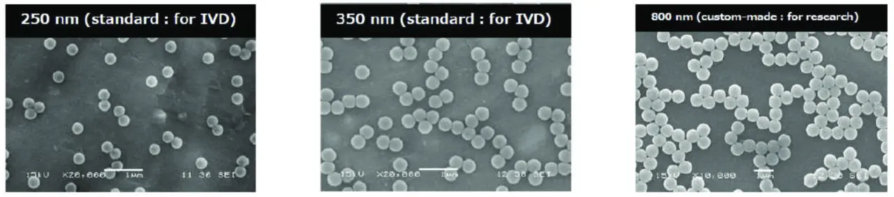 Particle-Grose-1280×283 SEM image showing monodisperse latex particles in three different diameters (250 nm, 350 nm, and 800 nm) used for IVD and research applications, provided by NAGASE.