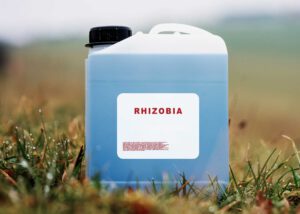 A blue agricultural container labeled "Rhizobia" placed on wet grass in a field, representing Trehalose for Agriculture by Nagase, a biobased agricultural solution supporting crop growth and soil health.