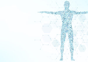 Abstract human body silhouette made of molecular structures representing biomarker analysis, metabolism, and adiponectin detection in diagnostic research.