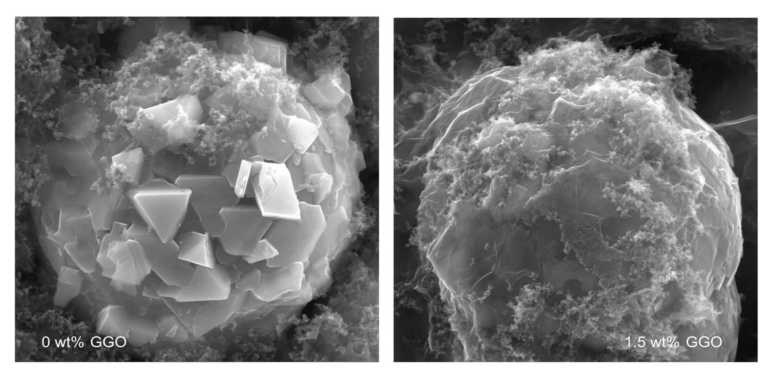 SEM Images of LNMO Polycrystals